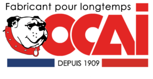 Logo OCAI