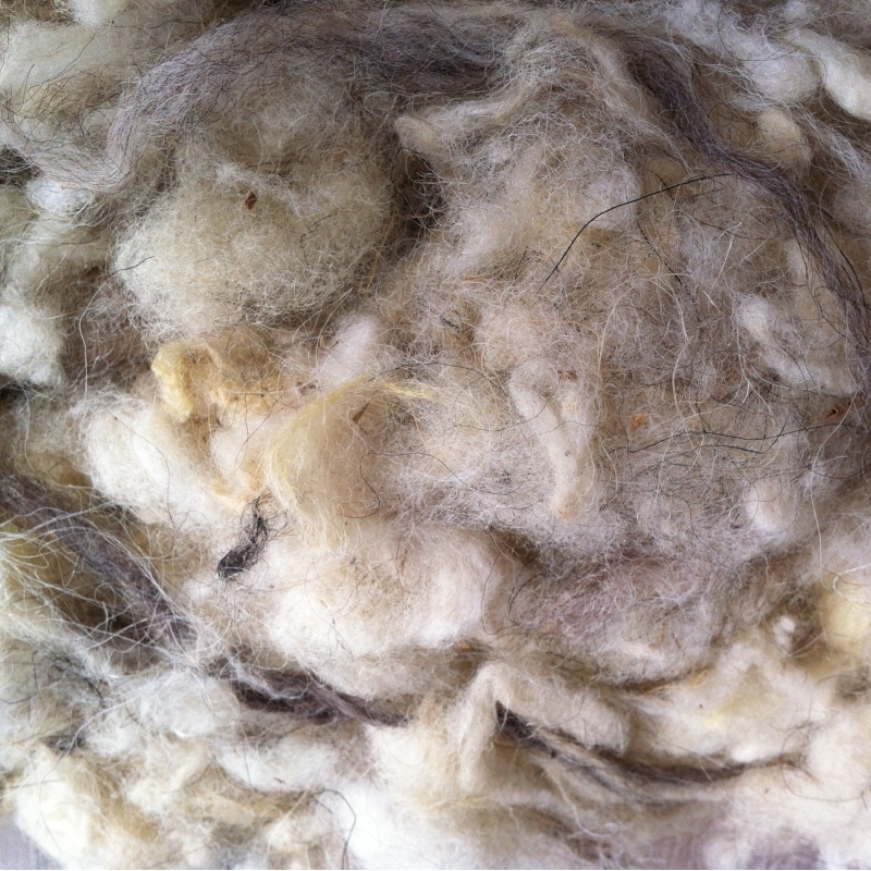 Isolant thermique en laine de mouton
