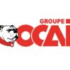 Brosse badigeon et encoller extra